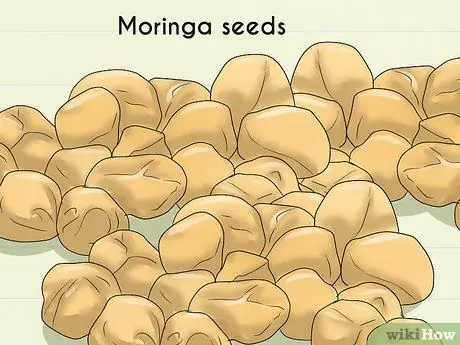 Сухие деревья моринги Шаг 8
