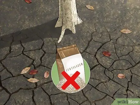 Водные деревья Шаг 18