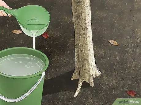 Водные деревья, шаг 3