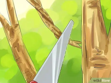 Обрезка яблони, шаг 5