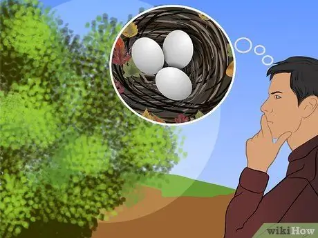 Очистить большие кусты, шаг 1