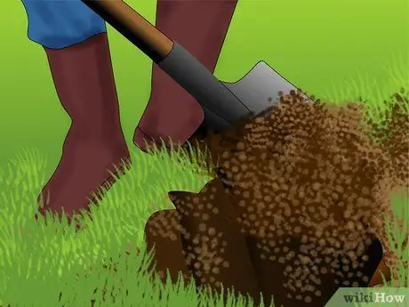 Очистить большие кусты Шаг 12