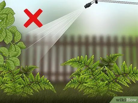 Убить папоротники, шаг 7