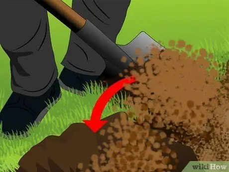 Посадить деревья из красного дерева Шаг 5