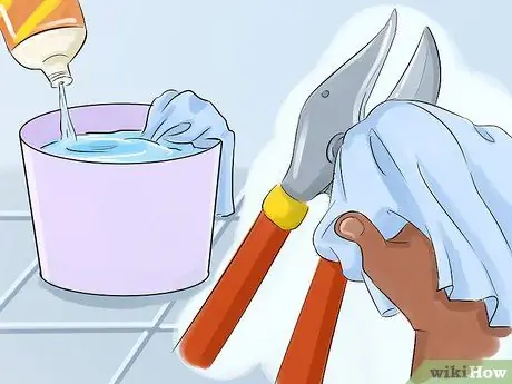 Обрезать красное дерево Шаг 6