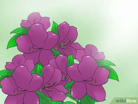Черносливная азалия, шаг 1 Черносливная азалия, шаг 1