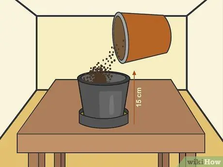 Сажать картофель в горшках Шаг 10