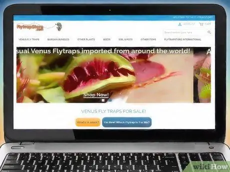 Выберите венерическую мухоловку Шаг 5 Выберите венерическую мухоловку Шаг 5