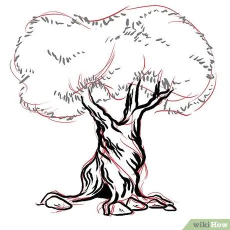 Кора Шаг 5