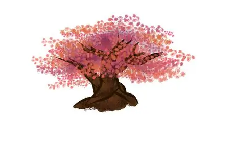Cherry Blossom Tree Cherry Blossom Tree