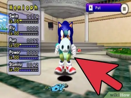 Получите Shadow Chao и Sonic Chao Шаг 10