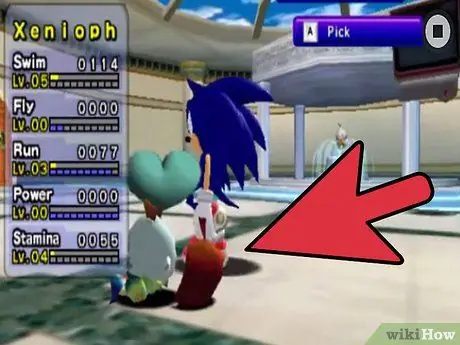 Получите Shadow Chao и Sonic Chao Шаг 6