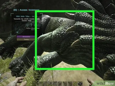 Приручить в ARK_ Survival Evolved, шаг 5