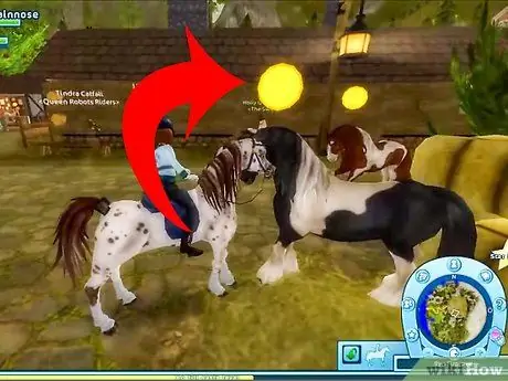 Сыграть в Star Stable Step 2