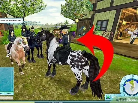 Сыграть в Star Stable Step 6