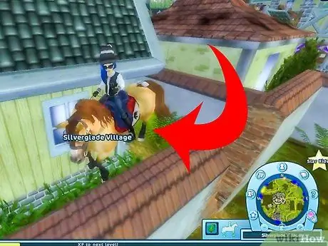 Сыграть в Star Stable Step 8