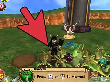 Получите много денег в Wizard101 Шаг 8