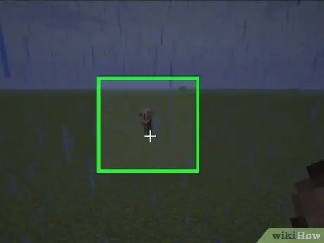 Легко убивайте жителей деревни в Minecraft, шаг 3