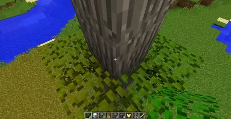 Build_Trees_in_Minecraft_Step_2