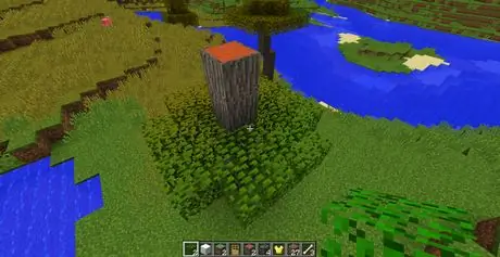 Build_Trees_in_Minecraft_Step_3