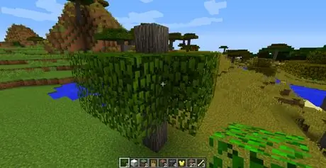 Build_Trees_in_Minecraft_Step_4