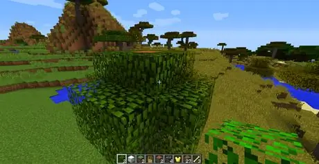 Build_Trees_in_Minecraft_Step_5