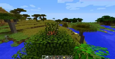 Build_Trees_in_Minecraft_Step_6