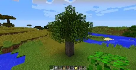 Build_Trees_in_Minecraft_Step_7