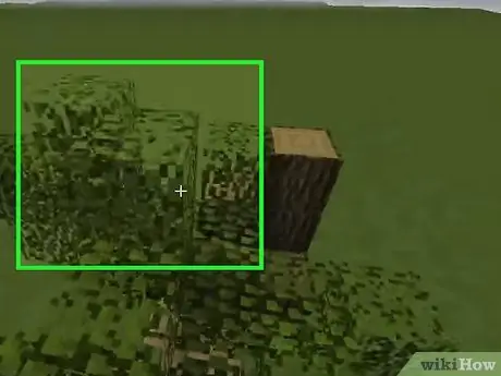 Стройте деревья в Minecraft, шаг 2