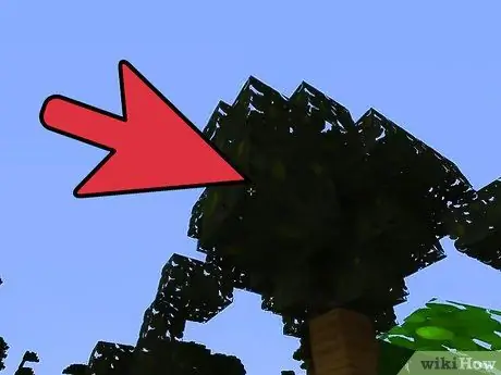 Сделайте пальмы в Minecraft, шаг 12