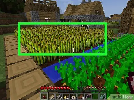 Станьте лучшим строителем в Minecraft Step 9