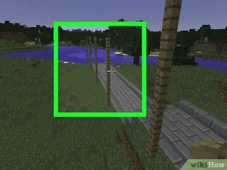 Сделайте путь в Minecraft, шаг 6