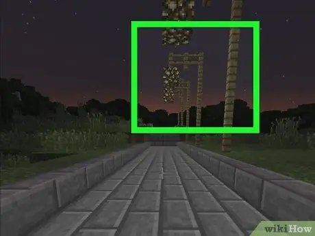 Сделайте путь в Minecraft, шаг 8