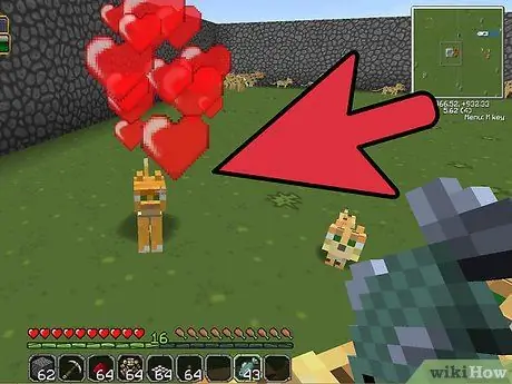 Приручить оцелота в Minecraft, шаг 12