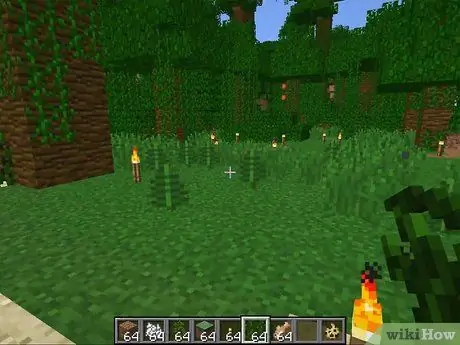 Приручить оцелота в Minecraft, шаг 3