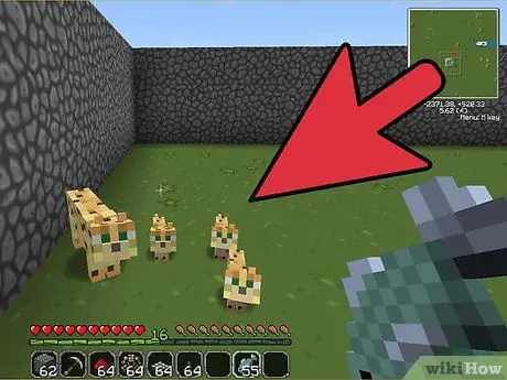 Приручить оцелота в Minecraft Step 9