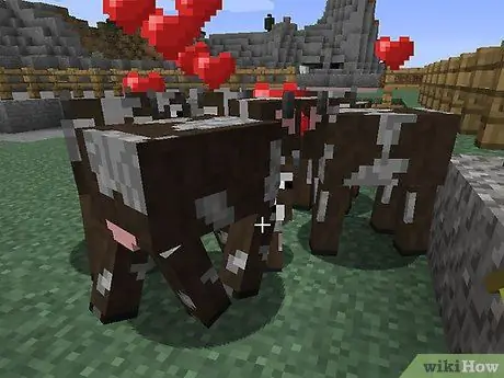 Начать животноводческую ферму в Minecraft, шаг 10