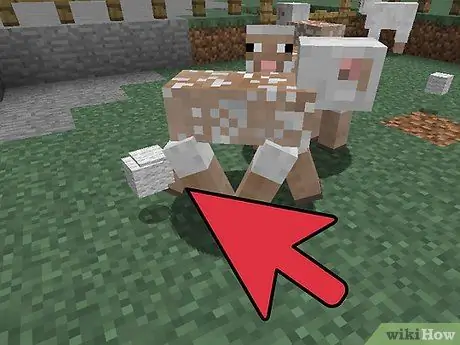 Начать животноводческую ферму в Minecraft, шаг 11