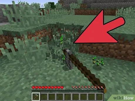 Начать животноводческую ферму в Minecraft, шаг 2