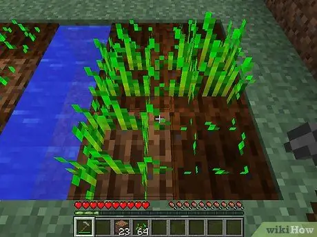 Начать животноводческую ферму в Minecraft, шаг 4
