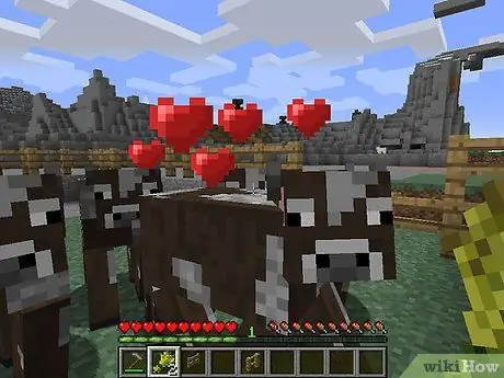 Начать животноводческую ферму в Minecraft, шаг 9