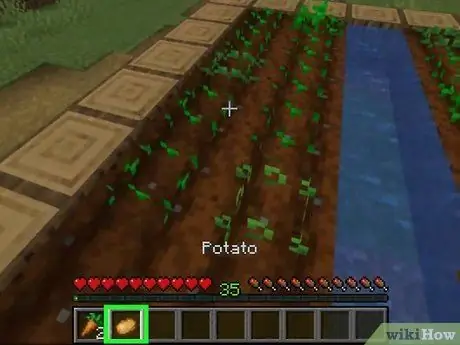 Найдите еду в Minecraft, шаг 2