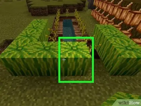 Найдите еду в Minecraft, шаг 6