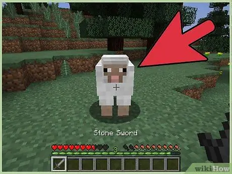 Сделайте картину в Minecraft Шаг 1