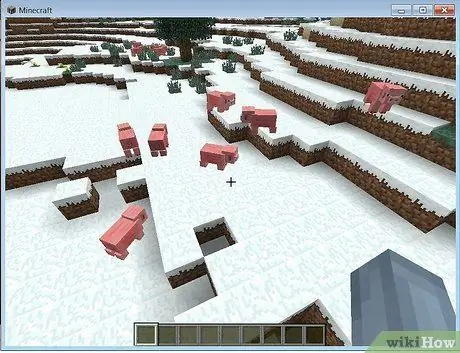 Установите пользовательские карты в Minecraft Step 7