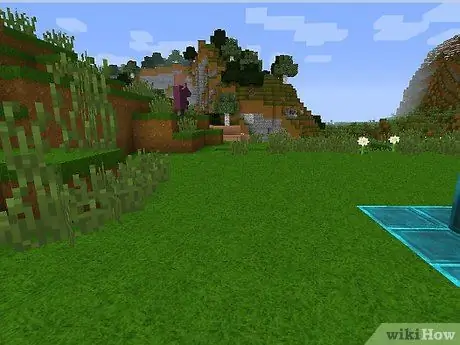 Сделайте снимок экрана на ПК Minecraft Шаг 1