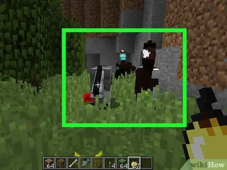 Разводите животных в Minecraft, шаг 10 Разводите животных в Minecraft, шаг 10