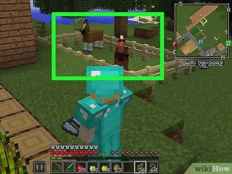 Разведение лошадей в Minecraft, шаг 12 Разведение лошадей в Minecraft, шаг 12