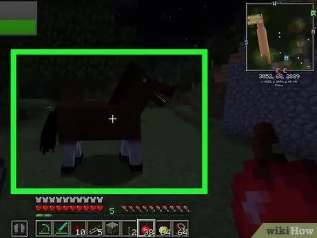 Разведение лошадей в Minecraft, шаг 4 Разведение лошадей в Minecraft, шаг 4