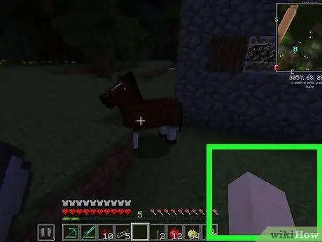 Разведение лошадей в Minecraft, шаг 5 Разведение лошадей в Minecraft, шаг 5